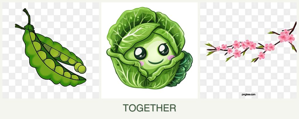 Can you plant peas, cabbage and peaches together?