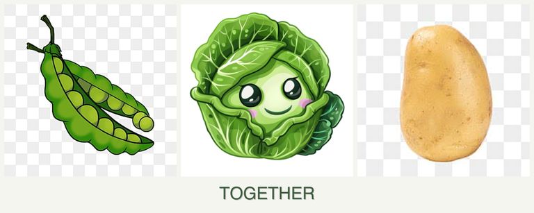 Can you plant peas, cabbage and potatoes together?