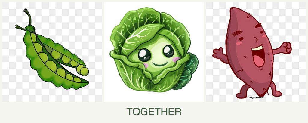 Can you plant peas, cabbage and sweet potatoes together?