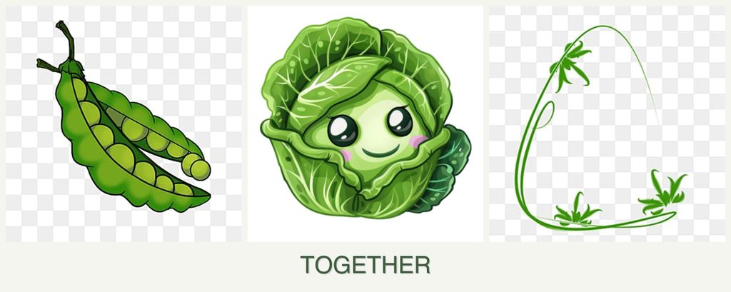Can you plant peas, cabbage and tarragon together?