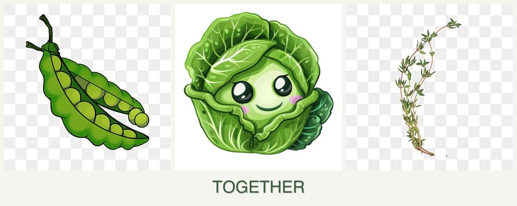 Can you plant peas, cabbage and thyme together?