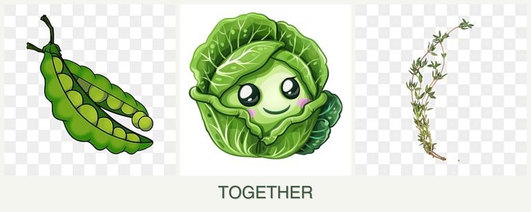 Can you plant peas, cabbage and thyme together?