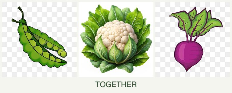 Can you plant peas, cauliflower and beets together?