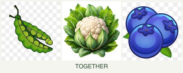 Can you plant peas, cauliflower and blueberries together?