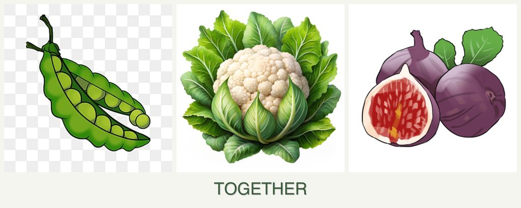 Can you plant peas, cauliflower and figs together?