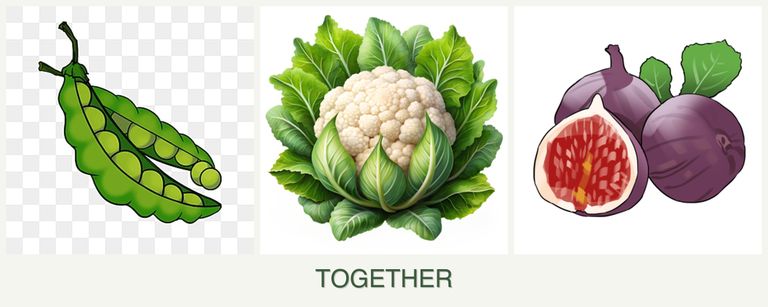 Can you plant peas, cauliflower and figs together?