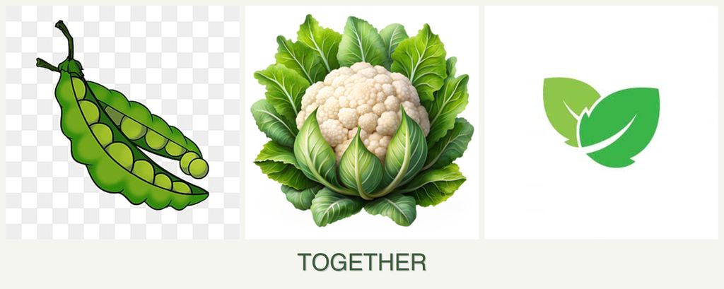 Can you plant peas, cauliflower and mint together?