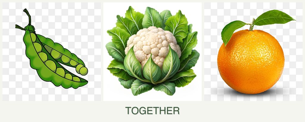 Can you plant peas, cauliflower and oranges together?