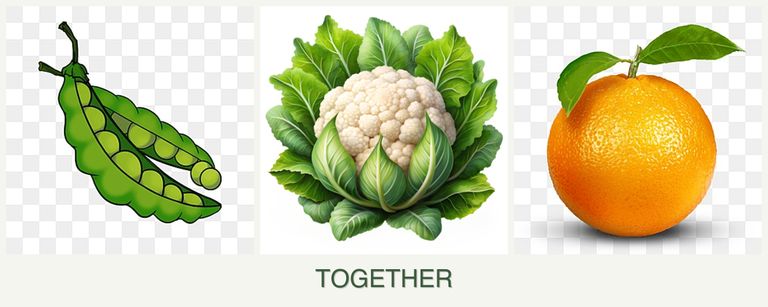 Can you plant peas, cauliflower and oranges together?