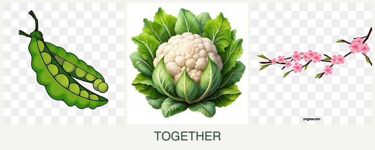 Can you plant peas, cauliflower and peaches together?