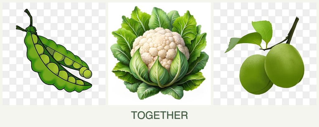 Can you plant peas, cauliflower and plums together?