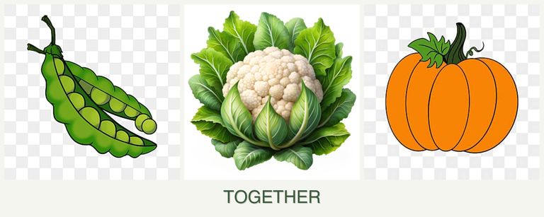 Can you plant peas, cauliflower and pumpkin together?