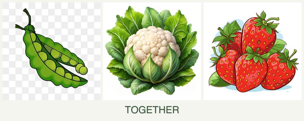 Can you plant peas, cauliflower and strawberries together?