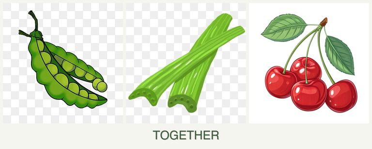 Can you plant peas, celery and cherries together?