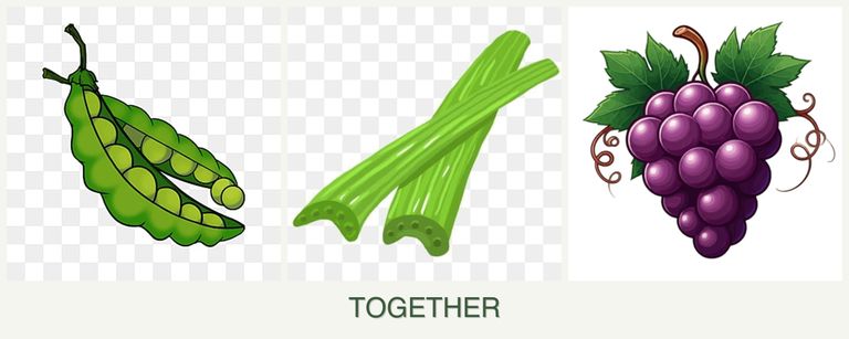 Can you plant peas, celery and grapes together?