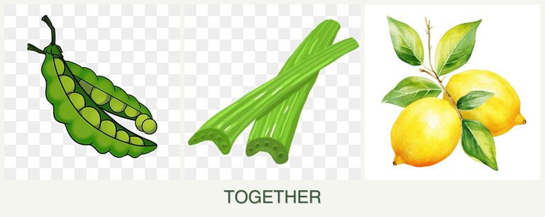 Can you plant peas, celery and lemons together?