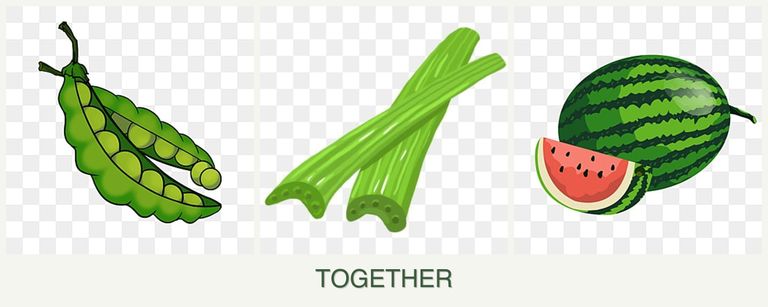 Can you plant peas, celery and melons together?