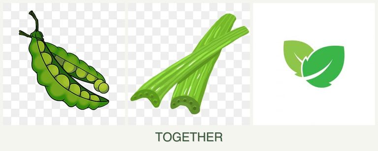 Can you plant peas, celery and mint together?