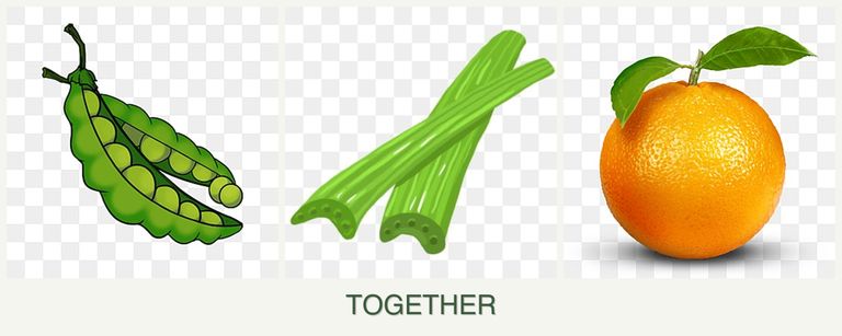 Can you plant peas, celery and oranges together?