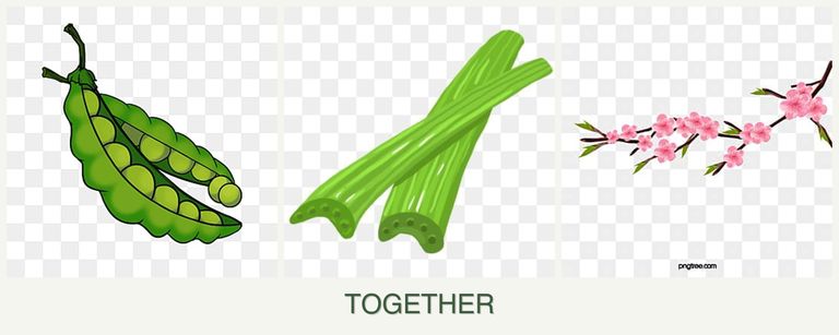 Can you plant peas, celery and peaches together?