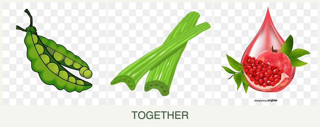 Can you plant peas, celery and pomegranates together?