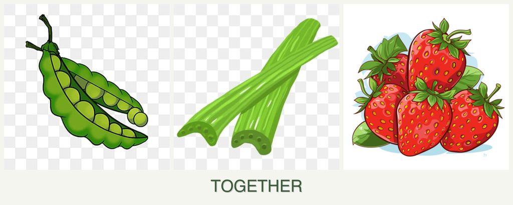 Can you plant peas, celery and strawberries together?