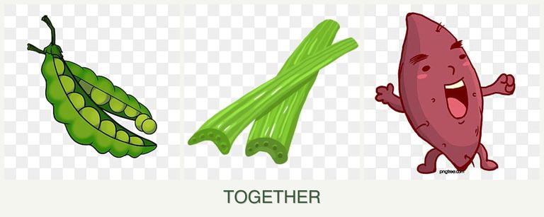 Can you plant peas, celery and sweet potatoes together?