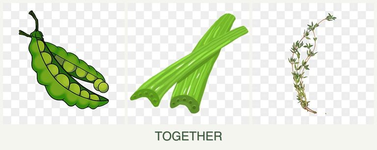 Can you plant peas, celery and thyme together?