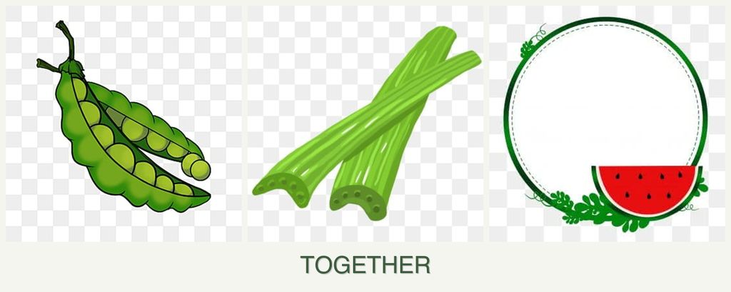 Can you plant peas, celery and watermelons together?