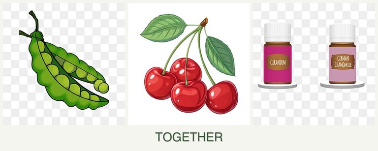 Can you plant peas, cherries and geraniums together?