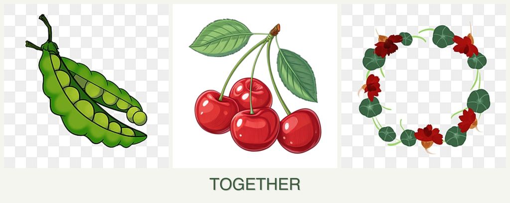 Can you plant peas, cherries and nasturtiums together?
