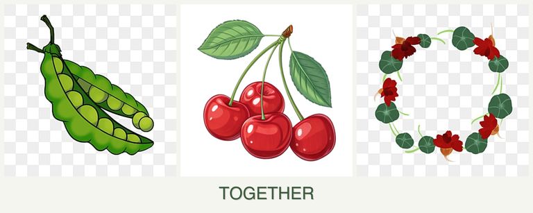 Can you plant peas, cherries and nasturtiums together?