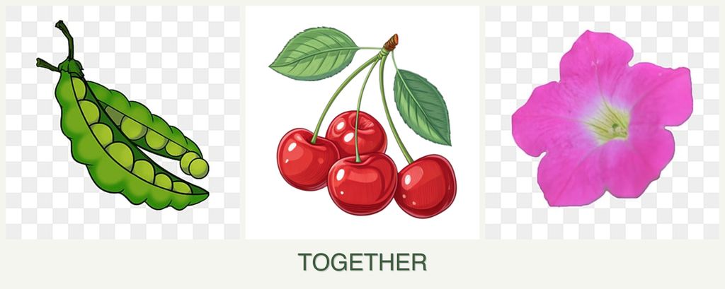 Can you plant peas, cherries and petunias together?
