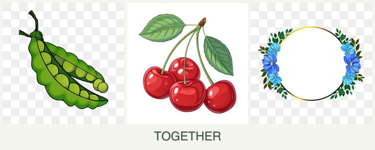 Can you plant peas, cherries and zinnias together?