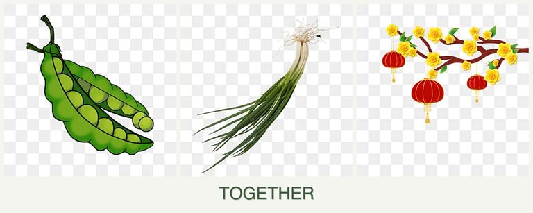 Can you plant peas, chives and apricots together?