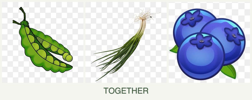 Can you plant peas, chives and blueberries together?