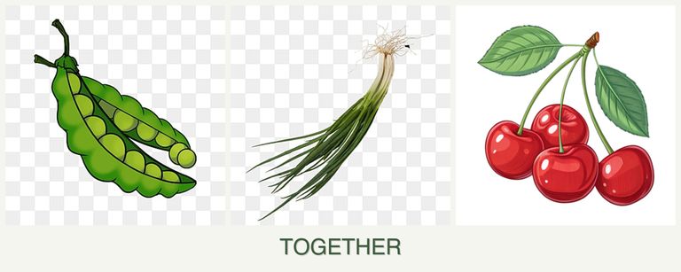 Can you plant peas, chives and cherries together?