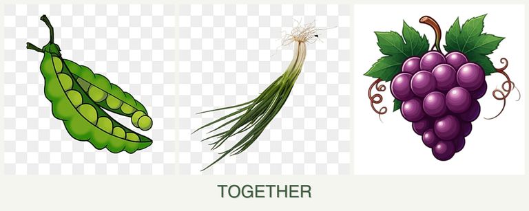 Can you plant peas, chives and grapes together?