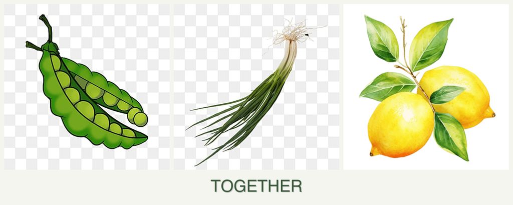 Can you plant peas, chives and lemons together?