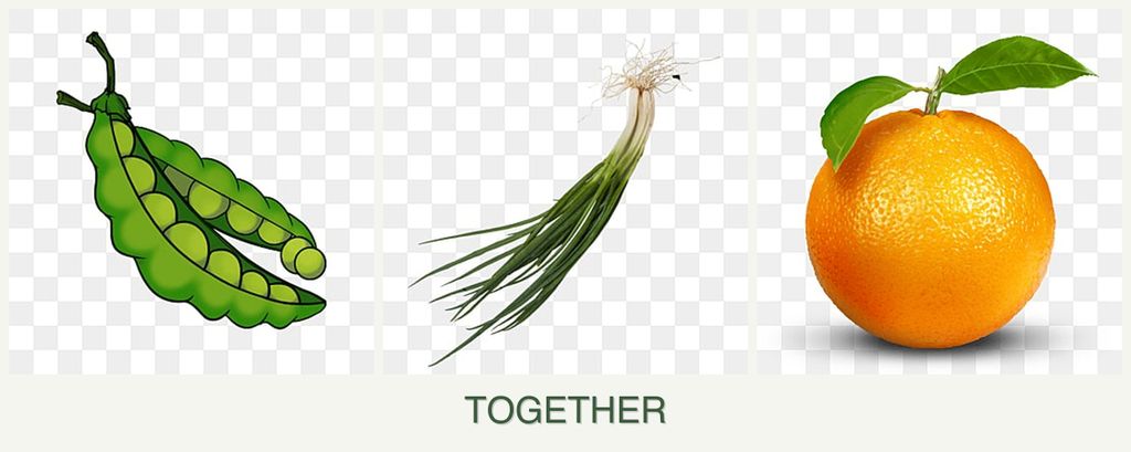 Can you plant peas, chives and oranges together?