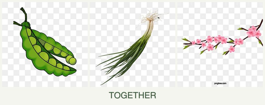 Can you plant peas, chives and peaches together?