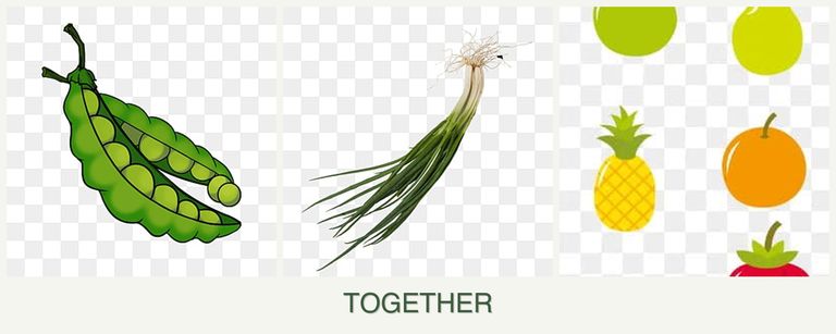 Can you plant peas, chives and pears together?