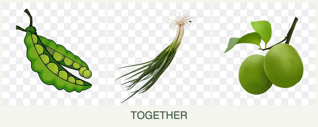 Can you plant peas, chives and plums together?