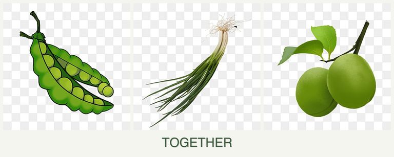 Can you plant peas, chives and plums together?