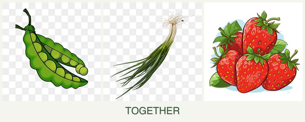 Can you plant peas, chives and strawberries together?