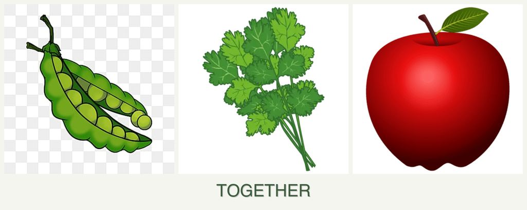 Can you plant peas, cilantro and apples together?