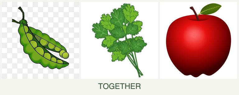 Can you plant peas, cilantro and apples together?