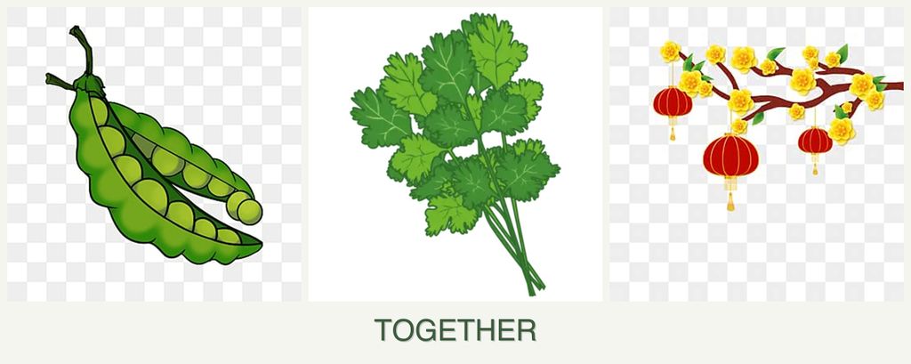 Can you plant peas, cilantro and apricots together?
