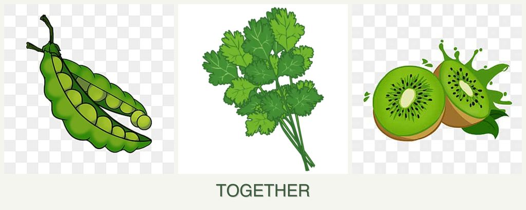 Can you plant peas, cilantro and kiwi together?