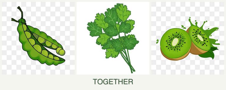 Can you plant peas, cilantro and kiwi together?